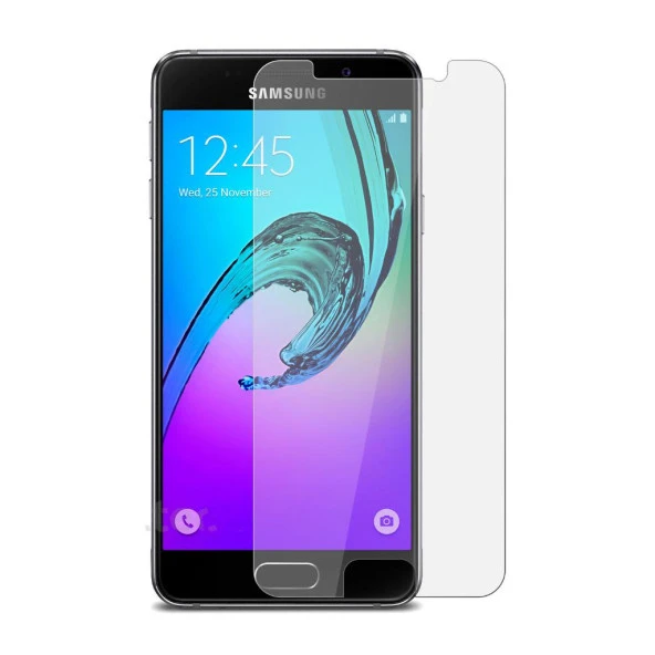 Samsung Galaxy A9 2016 A910 Ekran Koruyucu 9H