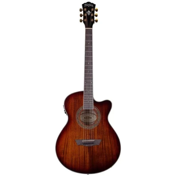 Washburn Ea55g Festival Elektro Akustik Gitar - 2