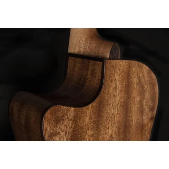 Washburn Woodline 10 Serisi Wlo10sce  Elektro Akustik Gitar - 5