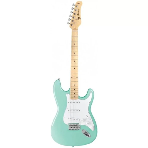 Jay Turser Jt-300m-sfg Elektro Gitar - 2