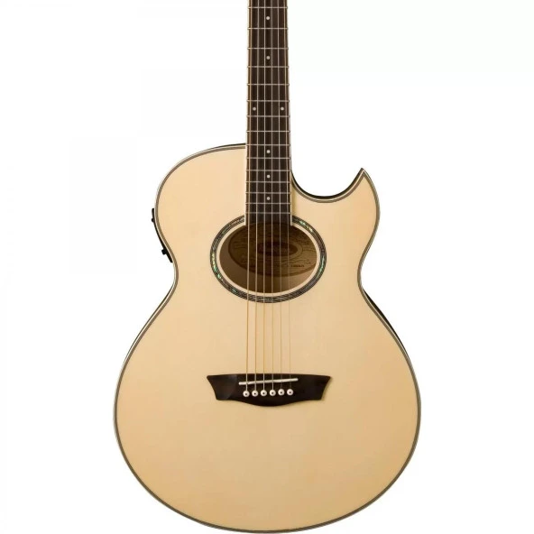 Washburn Ea20 Elektro Akustik Gitar
