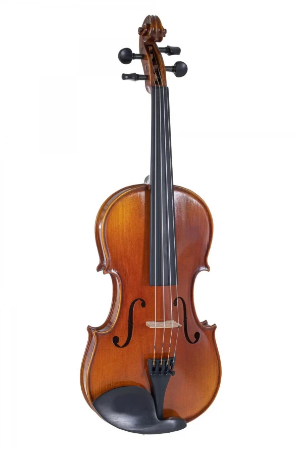Gewa Maestro 1 Vl3 4/4 Keman