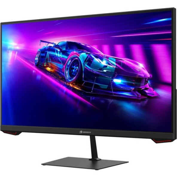 GameBooster 24" GB-2417FF 165hz 1ms IPS FHD (HDMI, DisplayPort) Monitör - 2