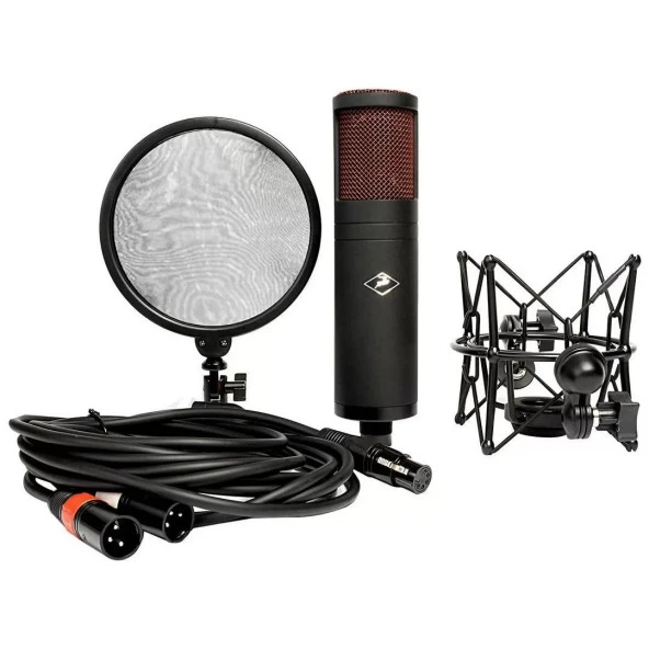 Antelope Audio Edge Duo - 3