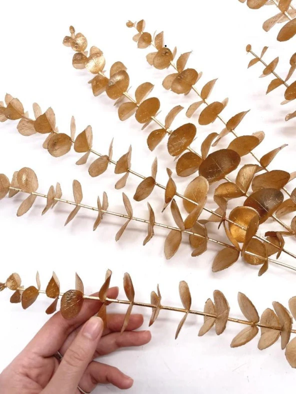 Nettenevime Yapay Çiçek Gold Altın Renk Okaliptus 3Dallı Uzun Dal 76cm Eucalyptus - Resim 7