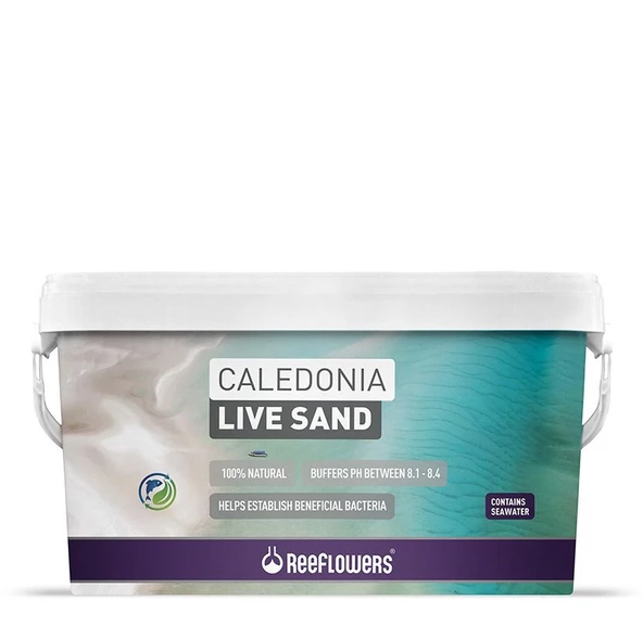 Reeflowers Caledonia Live Sand Purple 18 kg Deniz Akvaryumları için Canlı Kum