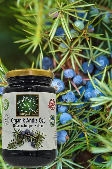 Aşıkzade Organik Andız Özü 370 Ml 480 G - 2