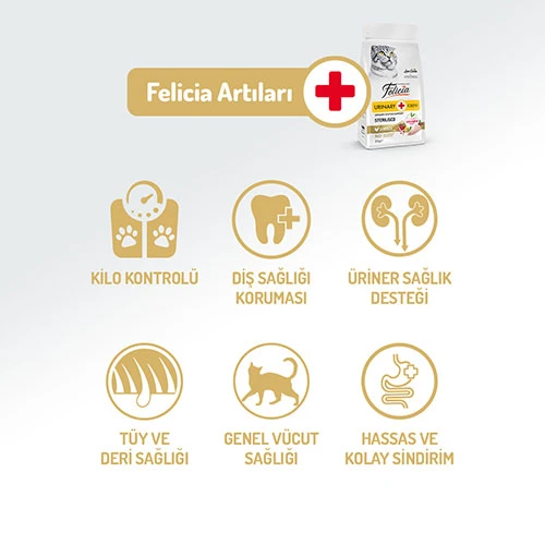 Felicia HypoAllergenic Urinary Sterilised +7 Tavuklu Düşük Tahıllı Kısırlaştırılmış Yaşlı Kedi Maması 2 Kg - Resim 2