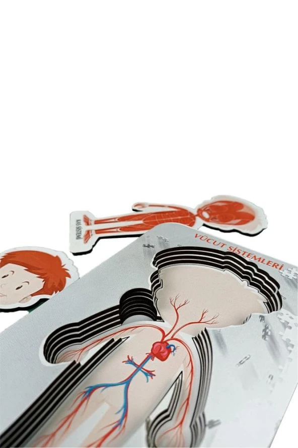 Gift Plus Ahşap Vücut Sistemleri 12x20 8 li - 2