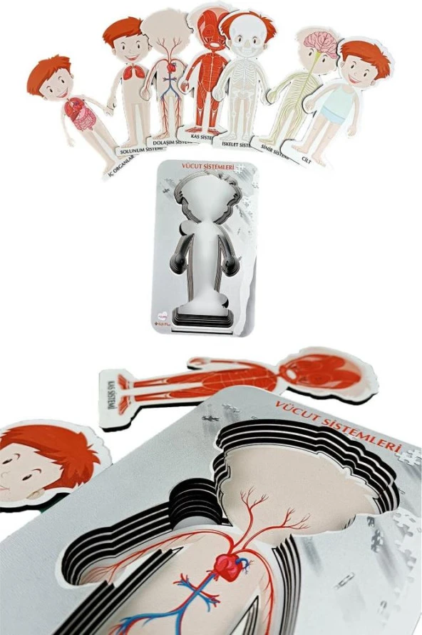 Gift Plus Ahşap Vücut Sistemleri 12x20 8 li - 4