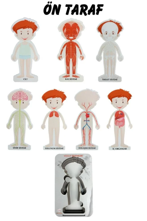 Gift Plus Ahşap Vücut Sistemleri 12x20 8 li - 5