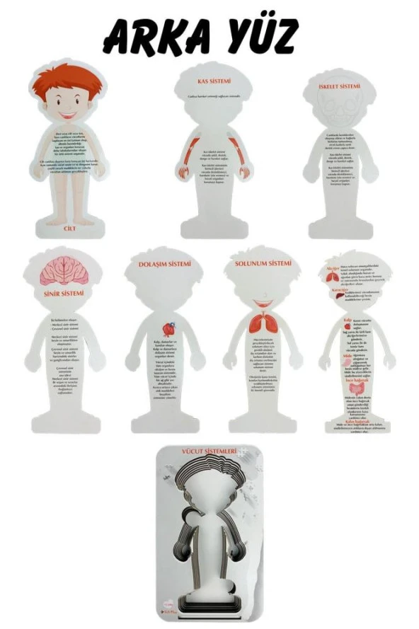 Gift Plus Ahşap Vücut Sistemleri 12x20 8 li - 6