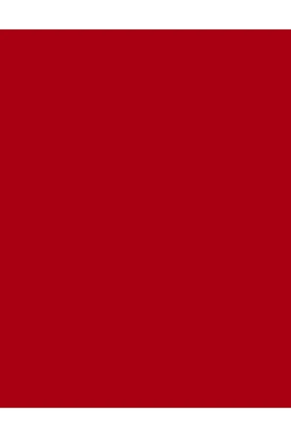 Oje - Nail Enamel 048 Fiery Red 34000001-048 - 2