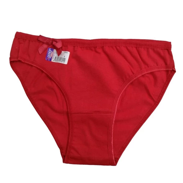 Sedef Yıldızı Bayan Düz Renk Bikini Külot Renk Çeşitli 1065 - 2