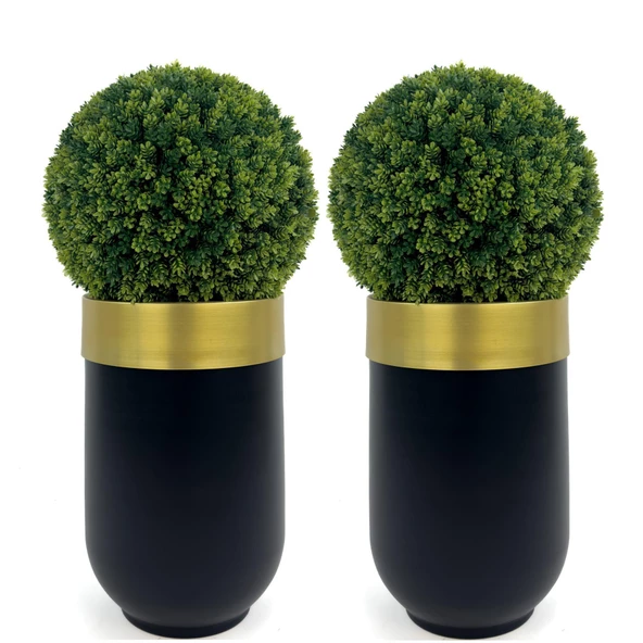 BİÇİÇEK Şimşir Ağacı 90cm Siyah gold darbuka saksıda - 3