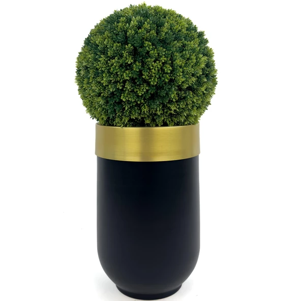 BİÇİÇEK Şimşir Ağacı 90cm Siyah gold darbuka saksıda - 8