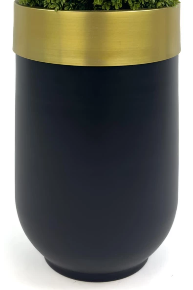 BİÇİÇEK Şimşir Ağacı 90cm Siyah gold darbuka saksıda - 6