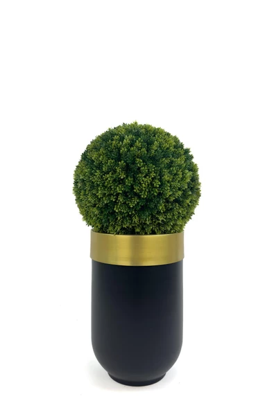 BİÇİÇEK Şimşir Ağacı 90cm Siyah gold darbuka saksıda - 5