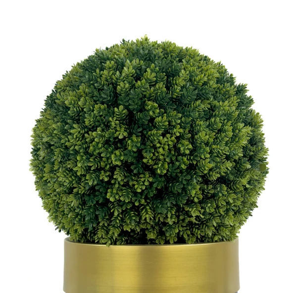 BİÇİÇEK Şimşir Ağacı 90cm Siyah gold darbuka saksıda - 4