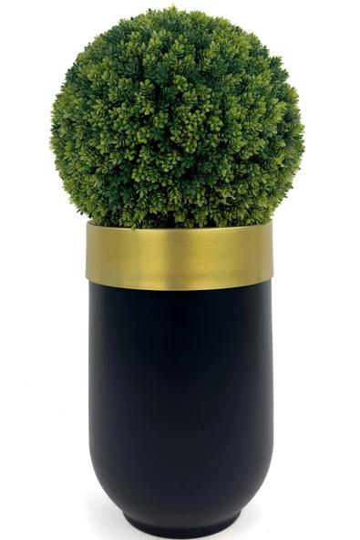 BİÇİÇEK Şimşir Ağacı 90cm Siyah gold darbuka saksıda