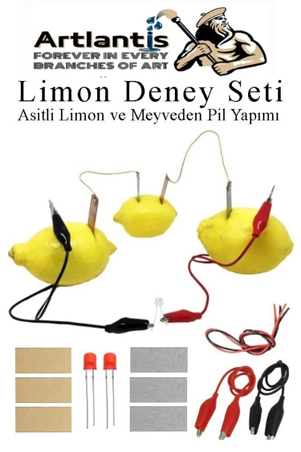 Elektrik Limon Deney Seti 1 Paket Limondan Elektrik Üretme Seti Limon Pili Fen Bilgisi Dersi Kimyasal Enerji