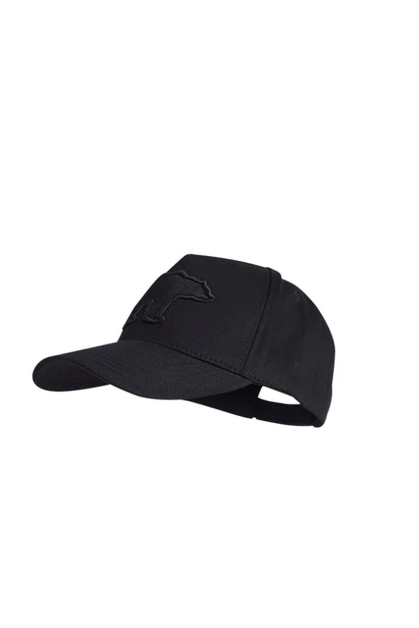 Bad Bear Logo Cap Black