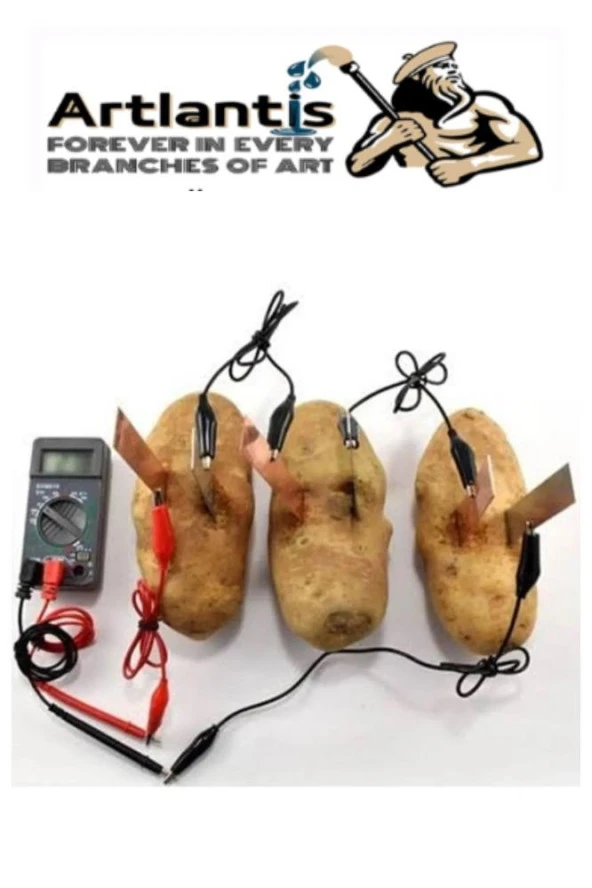 Dünya Güneş Ay Deney Seti ve Limon Deney Seti 1 Paket Proje Tasarım Okul Deney Seti - Resim 5