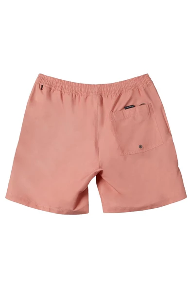 Quiksilver Everyday 15 Erkek Samon Volley Şort - 2
