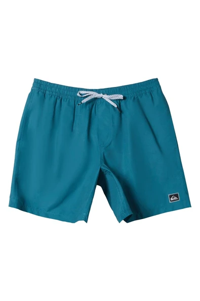 Quiksilver Everyday 15 Erkek Volley Petrol Mavisi Şort ürün görseli 1