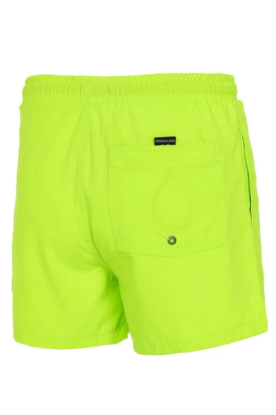 Quiksilver Everyday 15 Erkek Volley Yeşil Şort - 3