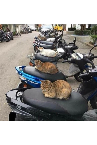 Spacy Activa Vespa Büyük Model Scooter Universal Motosiklet Siyah Sele Kılıfı Koltuk Brandası - 2