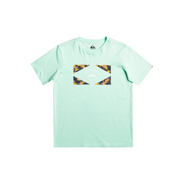 Quiksilver EQBZT04590 Circledline B Tees Erkek Çocuk Tişört - 2