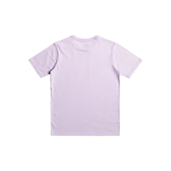 Quiksilver EQBZT04587 Signaturemove B Tees Erkek Çocuk Tişört - 3