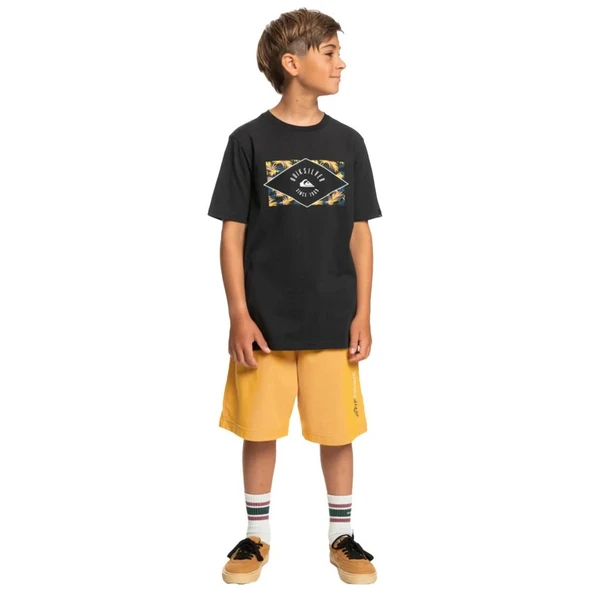 Quiksilver EQBZT04590 Circledline B Tees Erkek Çocuk Tişört - 6
