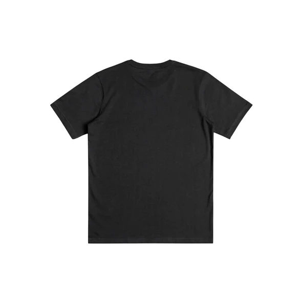 Quiksilver EQBZT04369 Comp Logo Ss Yth Erkek Çocuk Tişört - 7