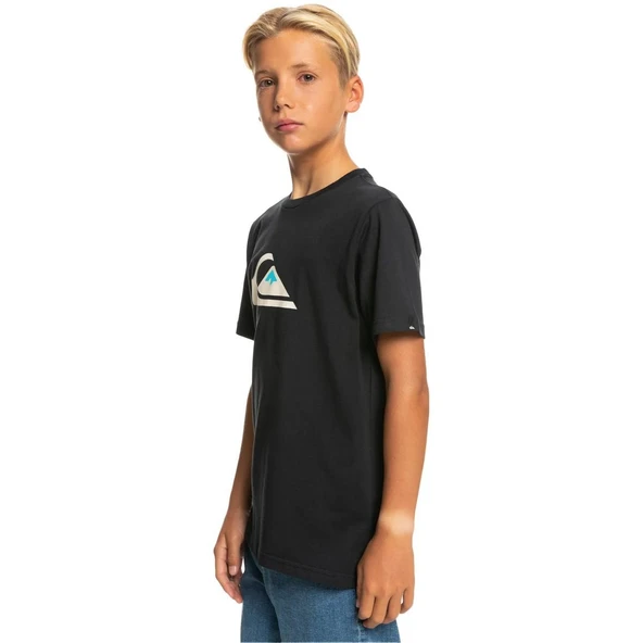 Quiksilver EQBZT04369 Comp Logo Ss Yth Erkek Çocuk Tişört - 2