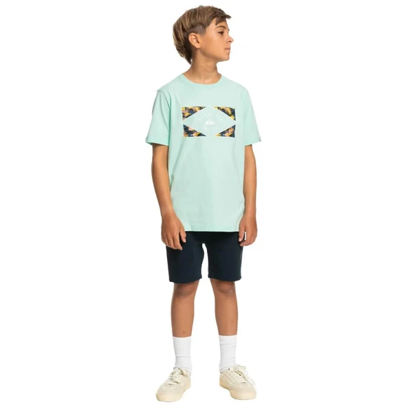 Quiksilver EQBZT04590 Circledline B Tees Erkek Çocuk Tişört - 6