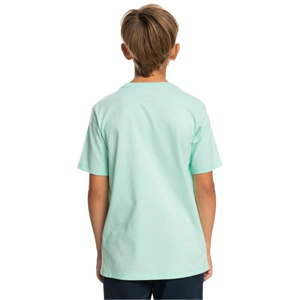 Quiksilver EQBZT04590 Circledline B Tees Erkek Çocuk Tişört - 7