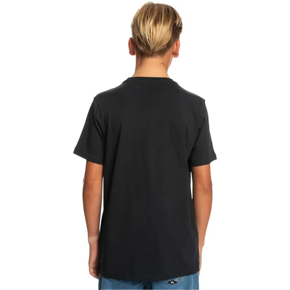 Quiksilver EQBZT04369 Comp Logo Ss Yth Erkek Çocuk Tişört - 5