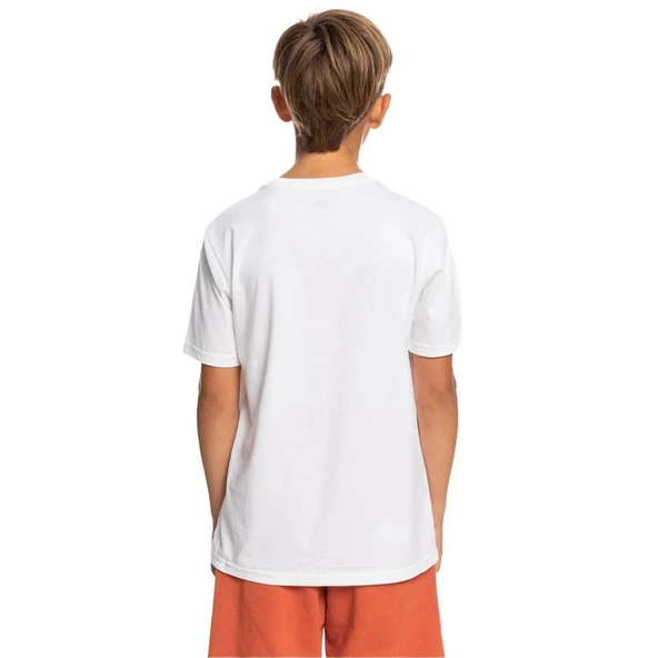 Quiksilver EQBZT04587 Signaturemove B Tees Erkek Çocuk Tişört - 7