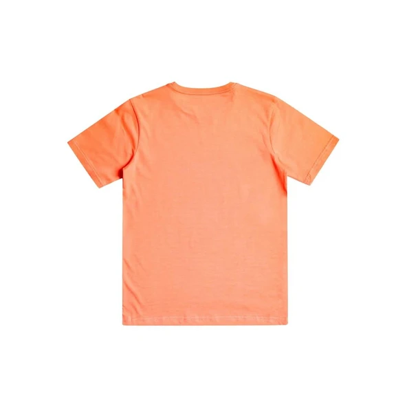 Quiksilver EQBZT04641 Qssurfclub B Tees Erkek Çocuk Tişört - 2