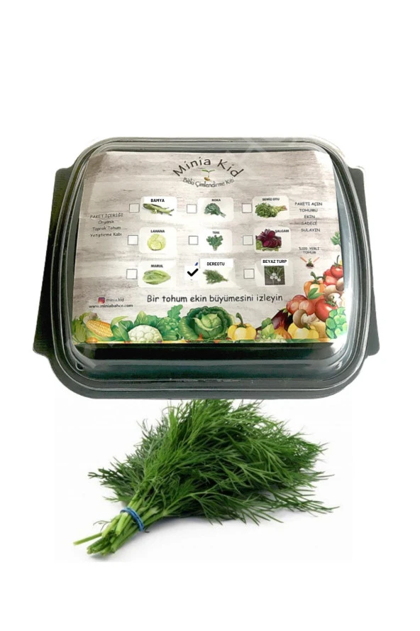 Dereotu (İPEK) Çimlendirme Kiti