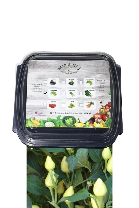 Süs Biberi (ACI) Çimlendirme Kiti