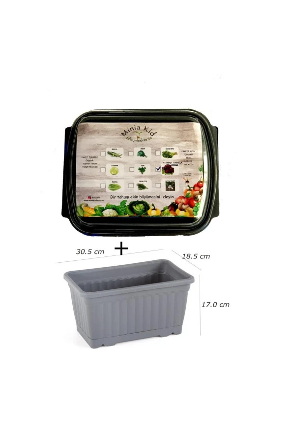 Minia Kid Lahana (kırmızı) Çimlendirme Kiti Ve Saksı