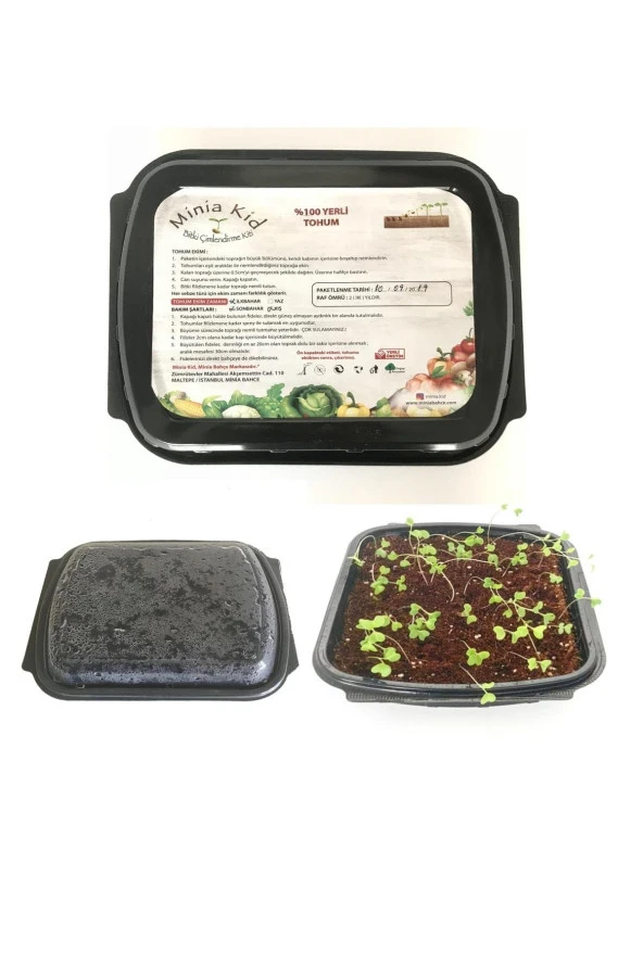 Minia Kid Domates (çanakkale) Çimlendirme Kiti Ve Saksı - Resim 2