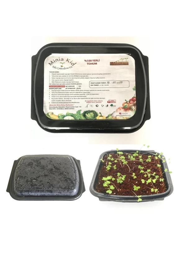 Minia Kid Roka Çimlendirme Kiti Ve Saksı - 2