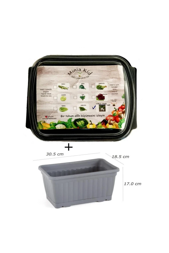 Minia Kid Fındık Turp Çimlendirme Kiti Ve Saksı