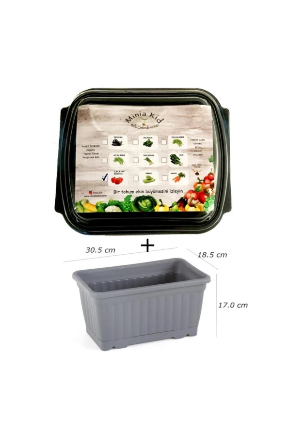 Minia Kid Domates (salkım) Çimlendirme Kiti Ve Saksı