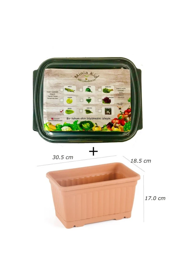 Minia Kid Marul Çimlendirme Kiti Ve Saksı