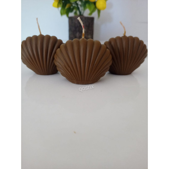 qosrix 3'lü Kahverengi Mini İstiridye Deniz Kabuğu 1. Kalite Doğal Kokulu Mum Dekoratif ürün görseli